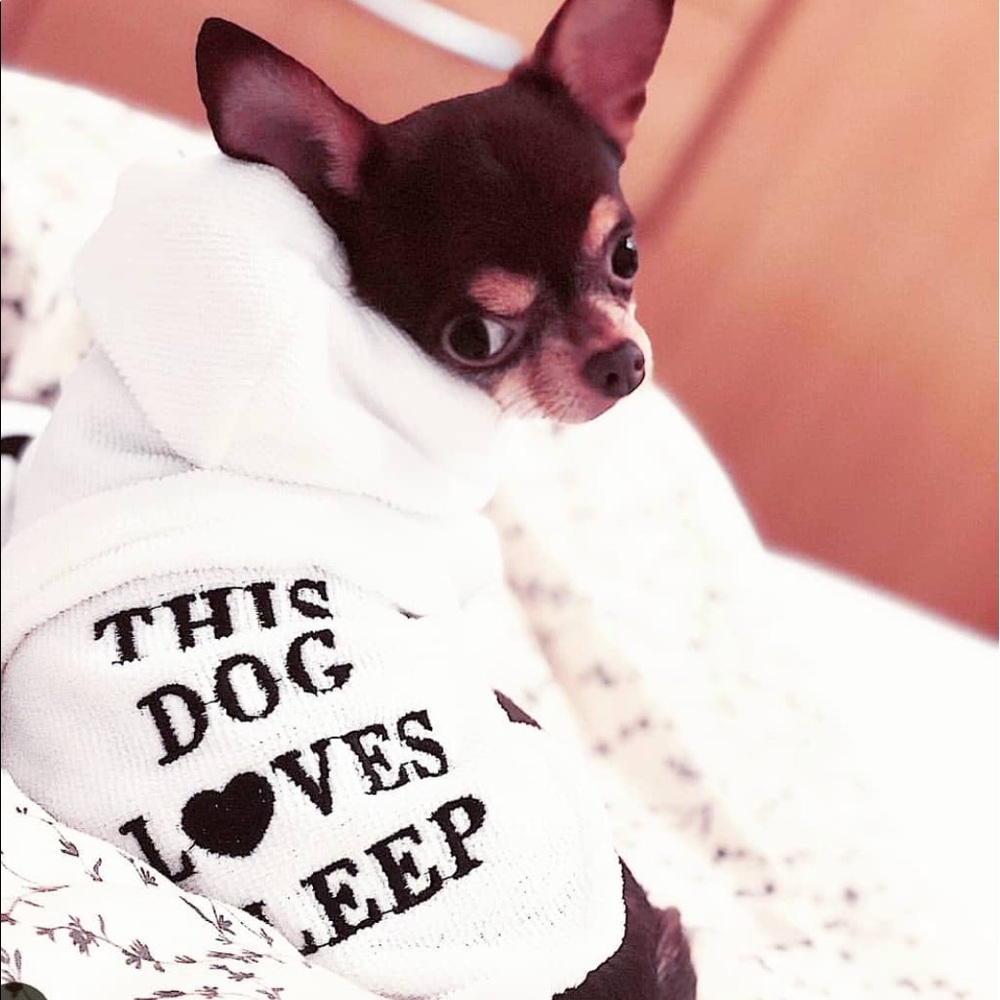Dog Clothes Hoodie Belted Jacket White Medium